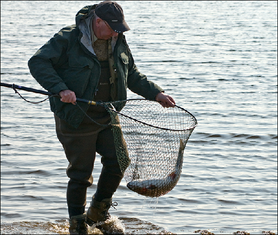 Whitemoor Estate Members' Catches 02