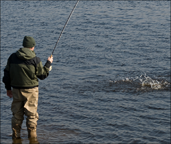 Whitemoor Estate Members' Catches 04