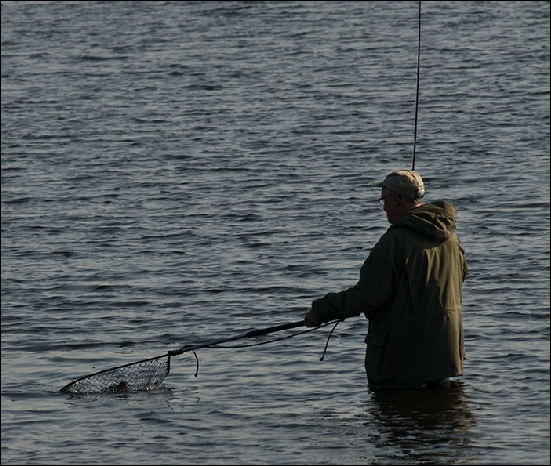 Whitemoor Estate Members' Catches 05