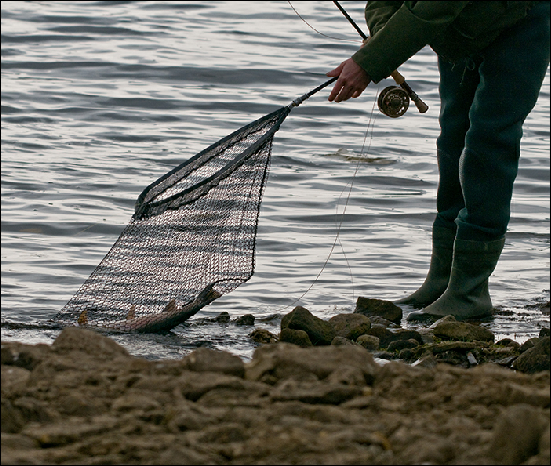 Whitemoor Estate Members' Catches 06