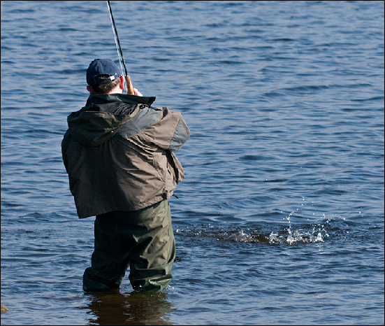 Whitemoor Estate Members' Catches 12